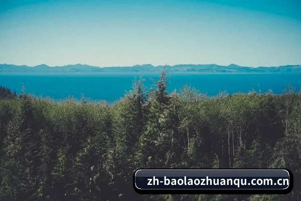 智能鉴瓜升级